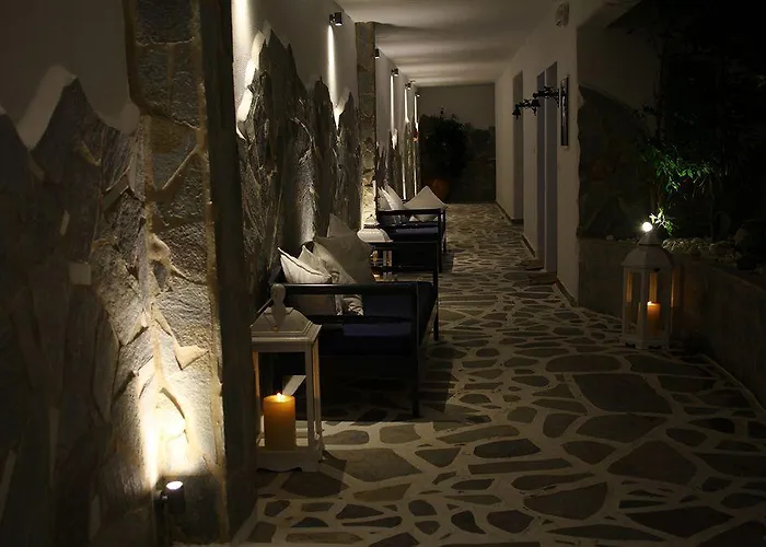 Palace - Adults Only باروس