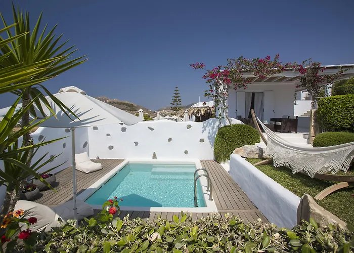 Palace - Adults Only فندق