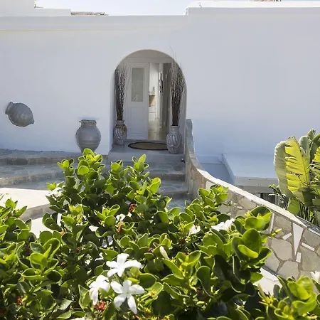 Palace - Adults Only