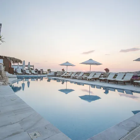 Palace - Adults Only