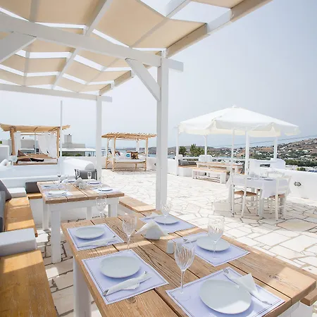 Palace - Adults Only