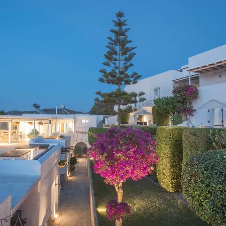 Palace - Adults Only 4*