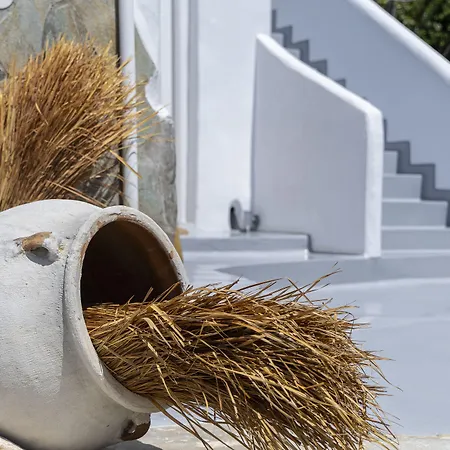 Palace - Adults Only 4* パロス島