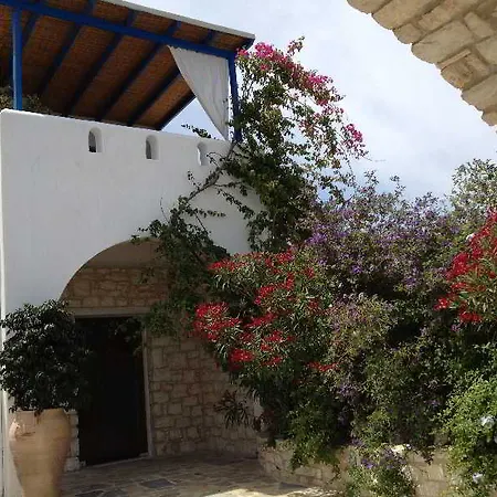 Palace - Adults Only