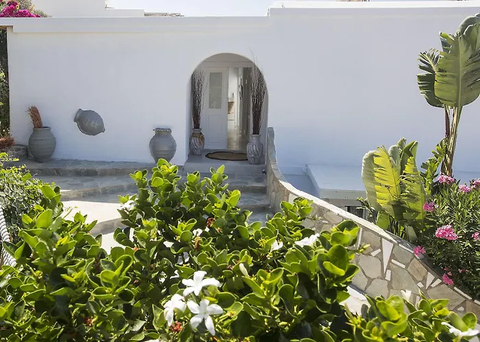 Palace - Adults Only