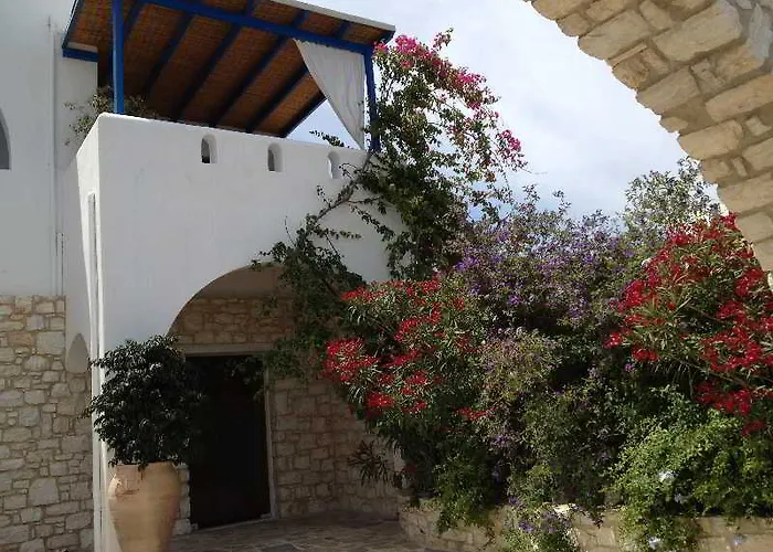 Palace - Adults Only